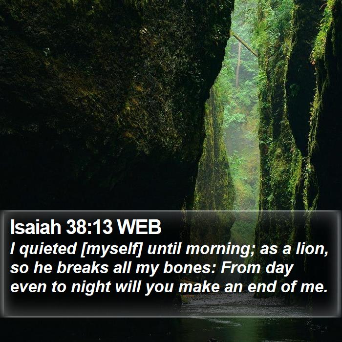 Isaiah 38:13 WEB Bible Study