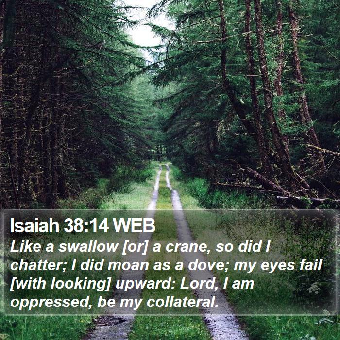 Isaiah 38:14 WEB Bible Study