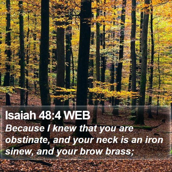 Isaiah 48:4 WEB Bible Study