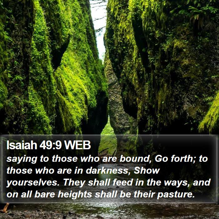 Isaiah 49:9 WEB Bible Study