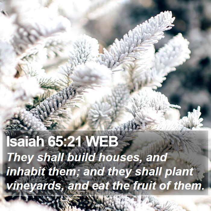 Isaiah 65:21 WEB Bible Study