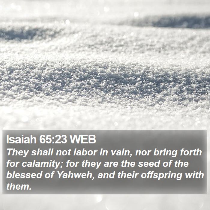 Isaiah 65:23 WEB Bible Study