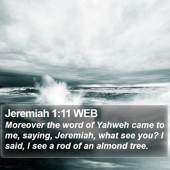 Jeremiah 1:11 WEB Bible Study