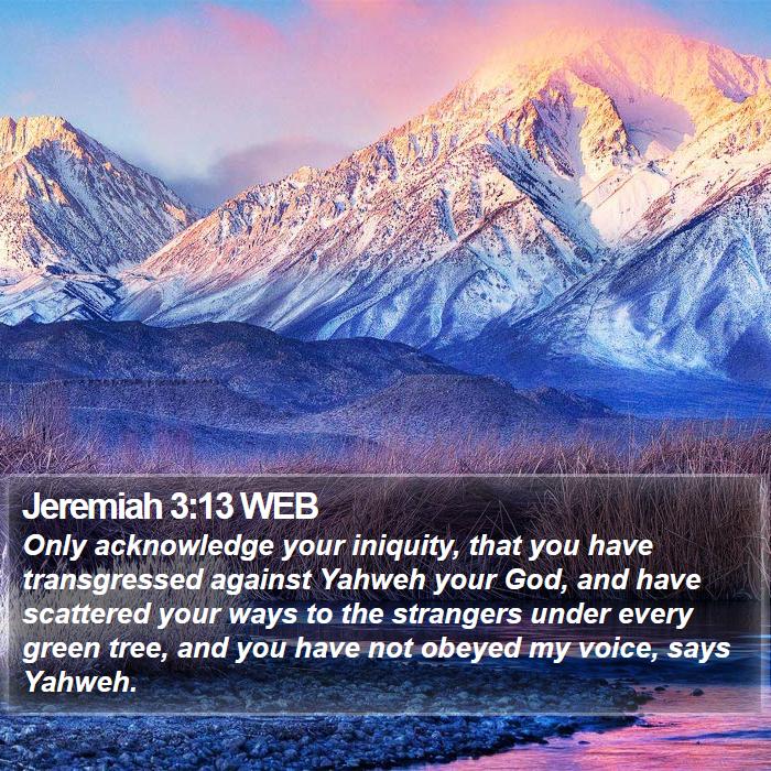 Jeremiah 3:13 WEB Bible Study