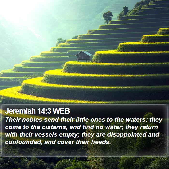 Jeremiah 14:3 WEB Bible Study