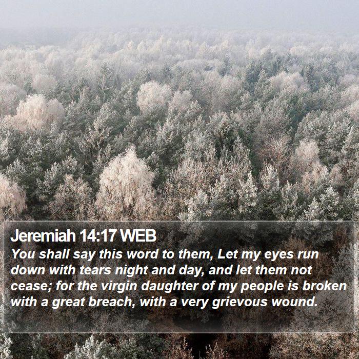 Jeremiah 14:17 WEB Bible Study