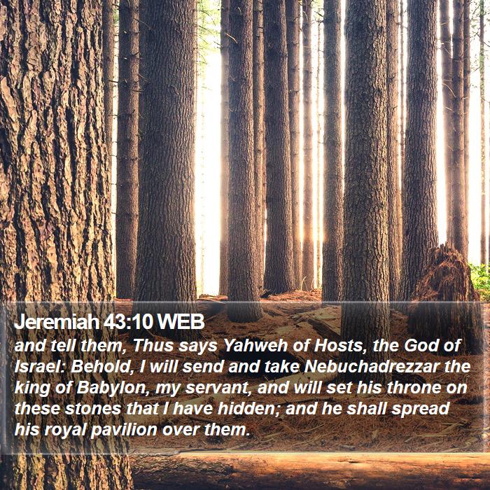 Jeremiah 43:10 WEB Bible Study