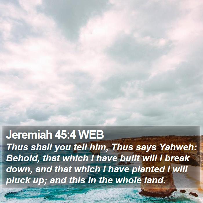 Jeremiah 45:4 WEB Bible Study