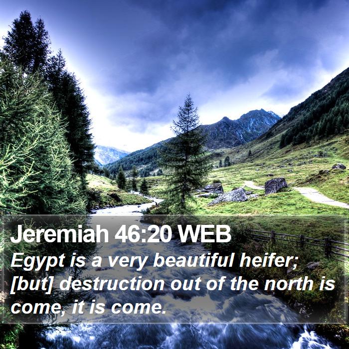 Jeremiah 46:20 WEB Bible Study