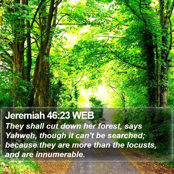 Jeremiah 46:23 WEB Bible Study