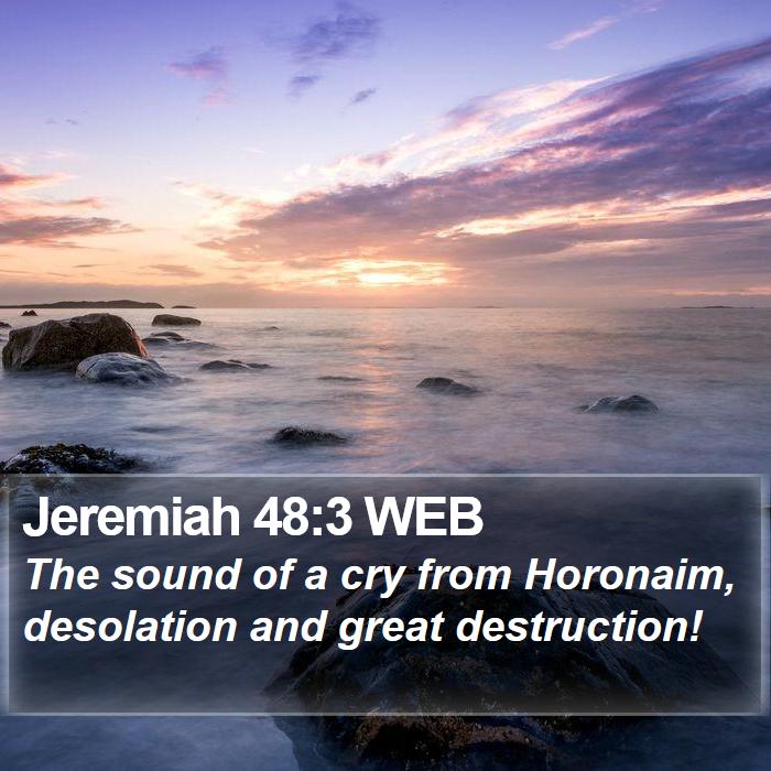 Jeremiah 48:3 WEB Bible Study