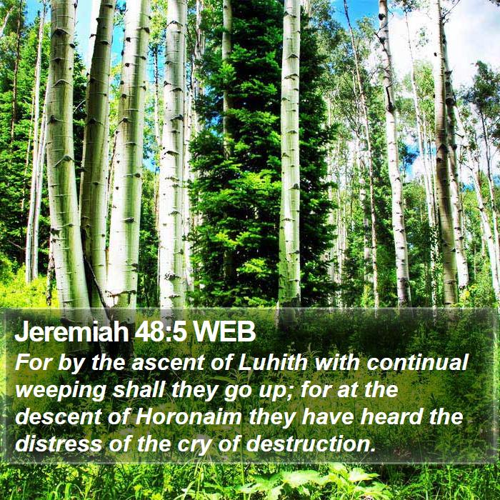 Jeremiah 48:5 WEB Bible Study