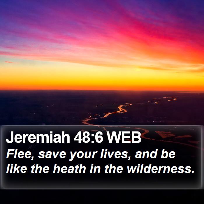 Jeremiah 48:6 WEB Bible Study