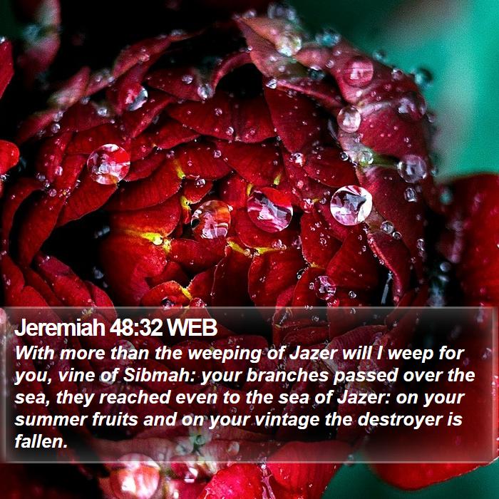 Jeremiah 48:32 WEB Bible Study