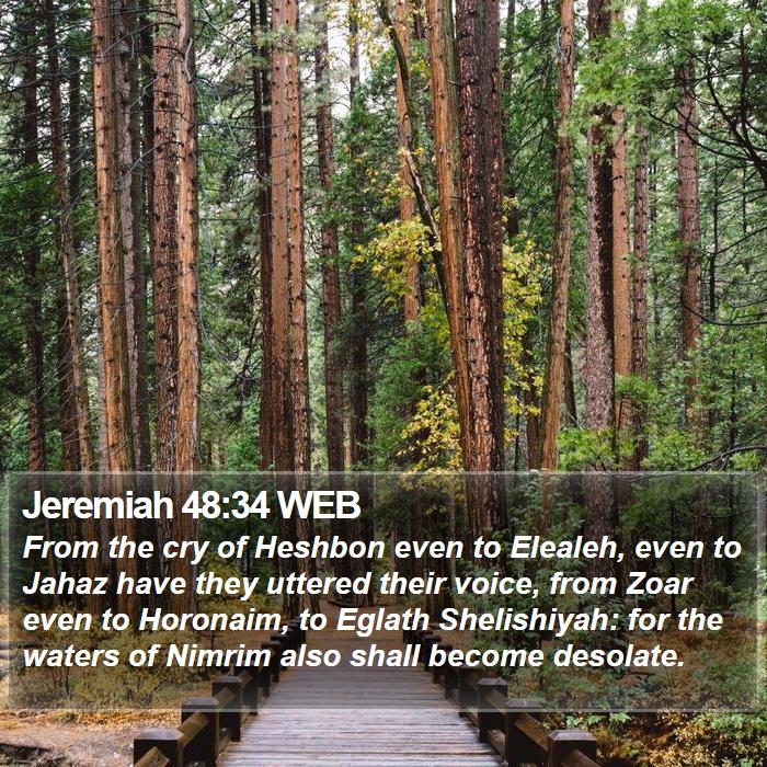 Jeremiah 48:34 WEB Bible Study