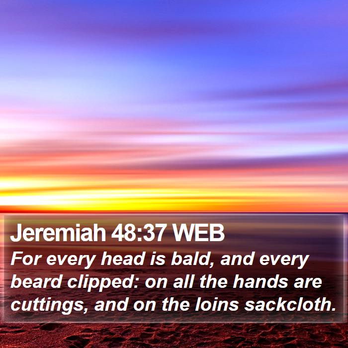 Jeremiah 48:37 WEB Bible Study