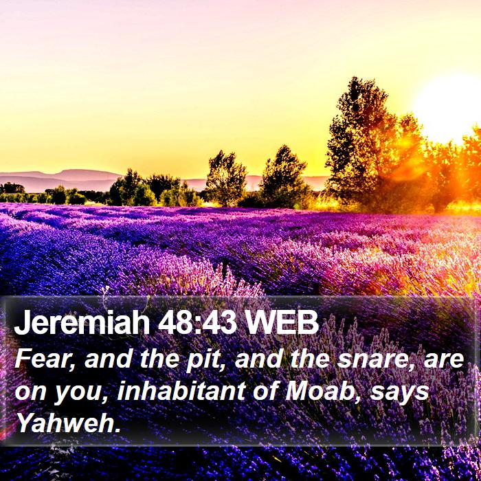 Jeremiah 48:43 WEB Bible Study