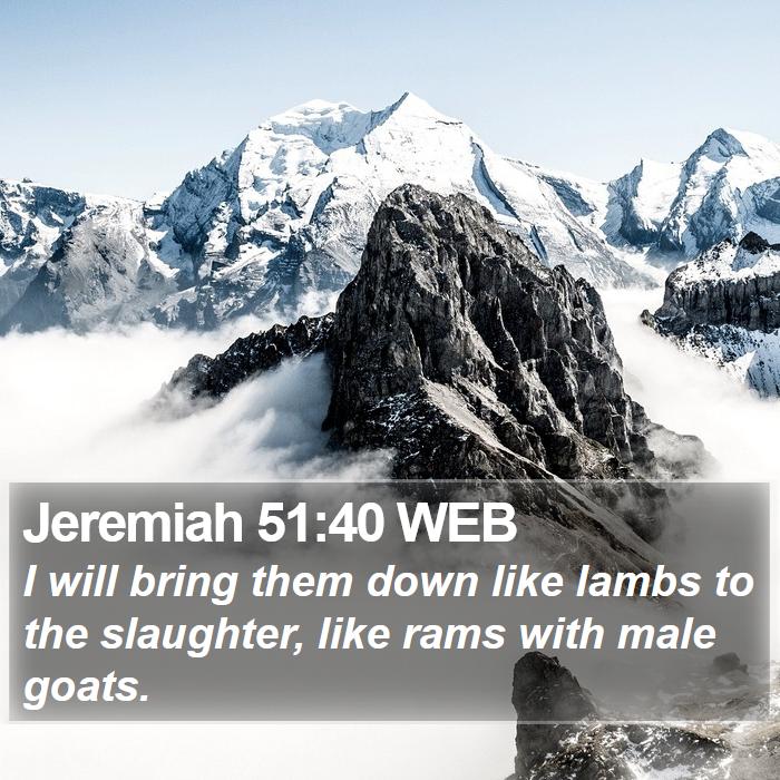 Jeremiah 51:40 WEB Bible Study