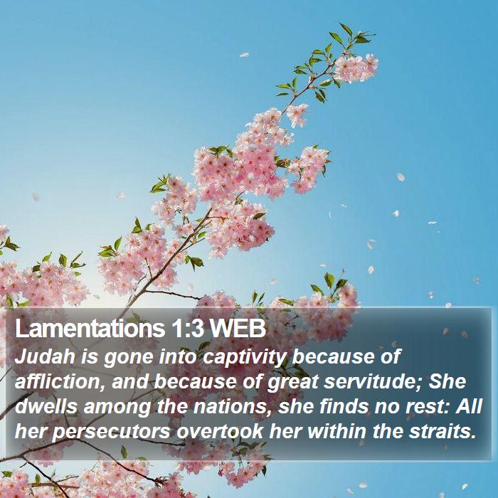 Lamentations 1:3 WEB Bible Study