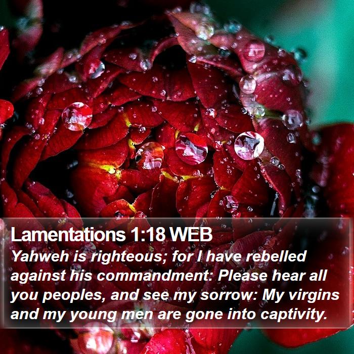 Lamentations 1:18 WEB Bible Study