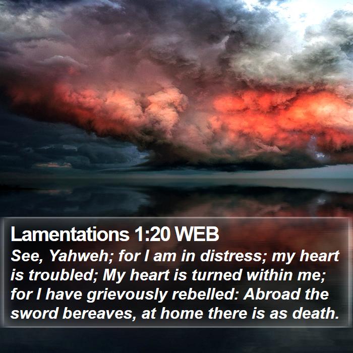 Lamentations 1:20 WEB Bible Study