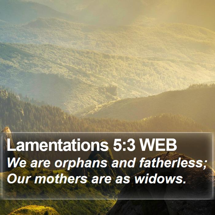 Lamentations 5:3 WEB Bible Study