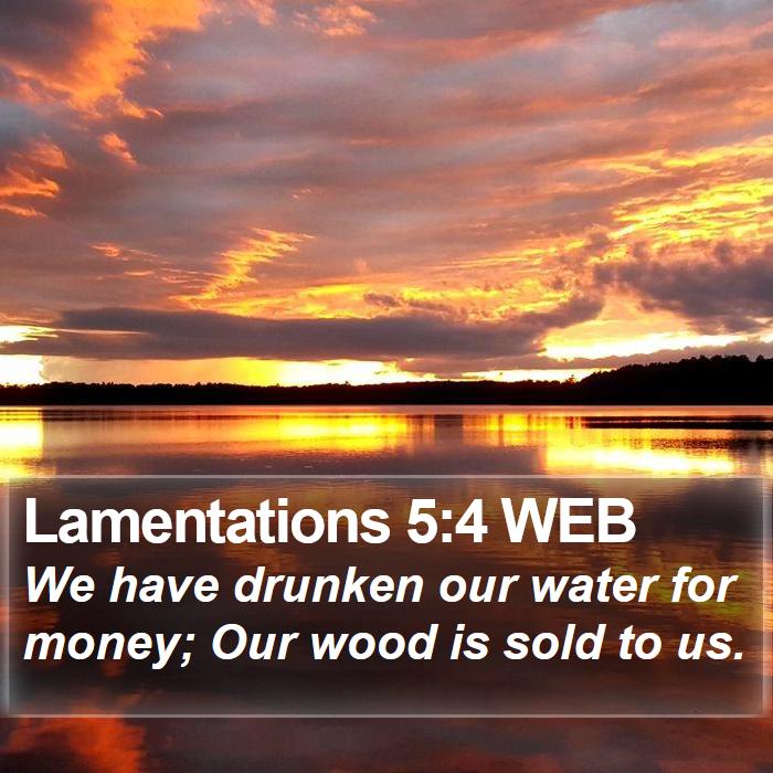 Lamentations 5:4 WEB Bible Study