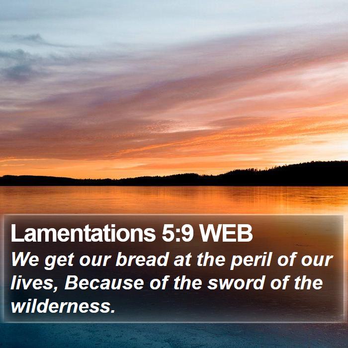 Lamentations 5:9 WEB Bible Study