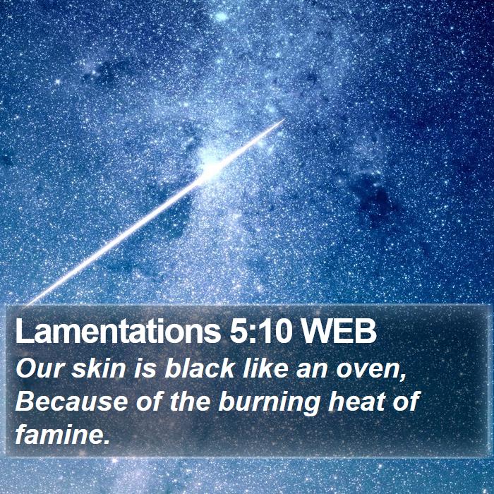 Lamentations 5:10 WEB Bible Study