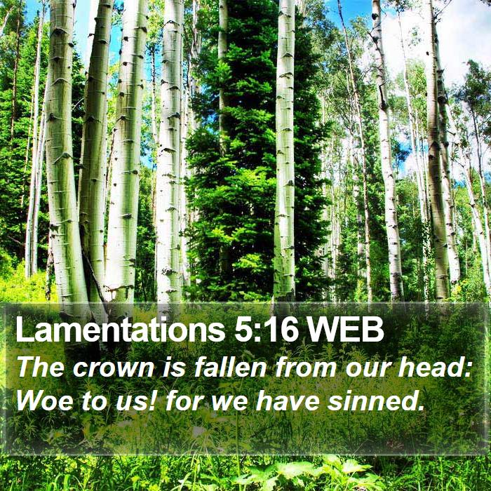 Lamentations 5:16 WEB Bible Study