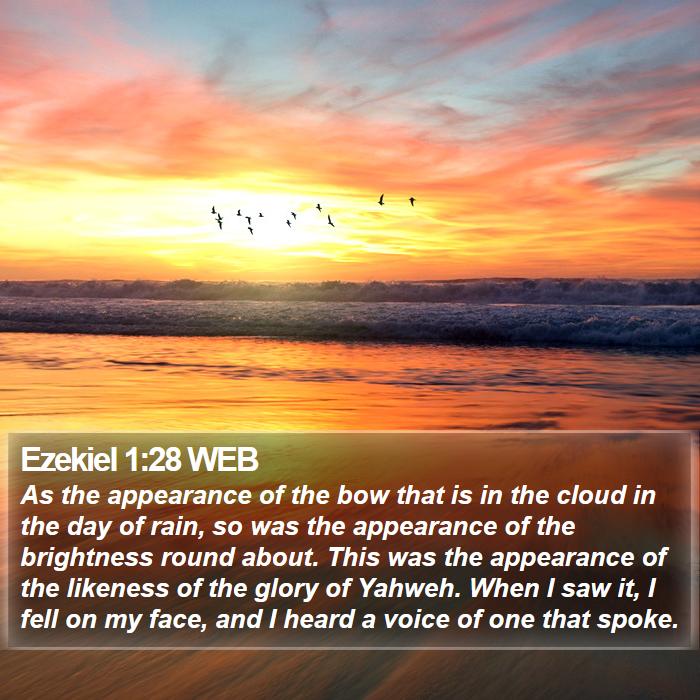 Ezekiel 1:28 WEB Bible Study