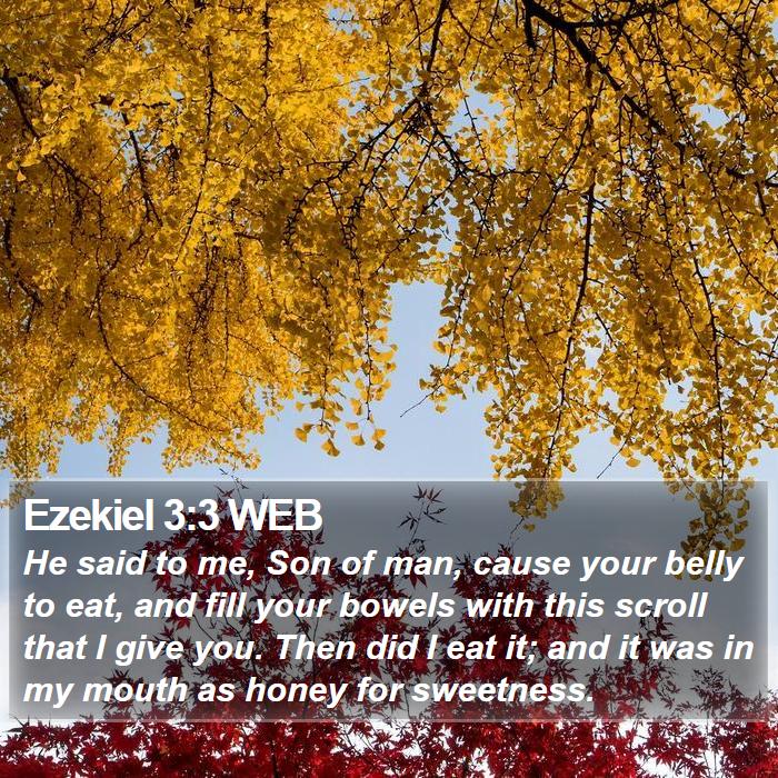 Ezekiel 3:3 WEB Bible Study