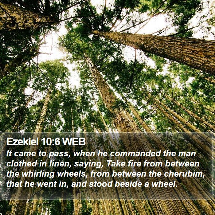 Ezekiel 10:6 WEB Bible Study