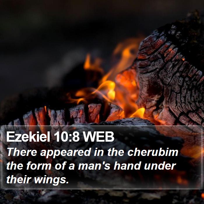 Ezekiel 10:8 WEB Bible Study