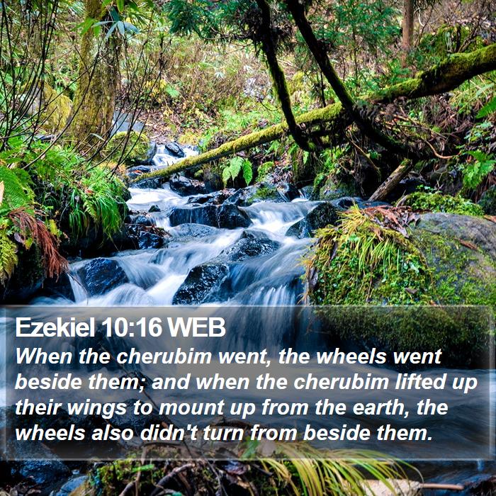 Ezekiel 10:16 WEB Bible Study