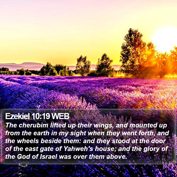 Ezekiel 10:19 WEB Bible Study