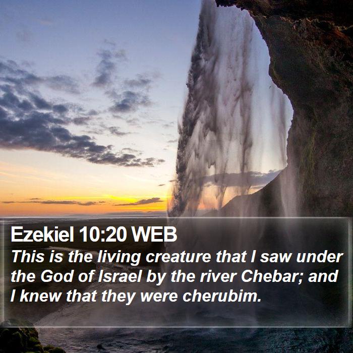 Ezekiel 10:20 WEB Bible Study