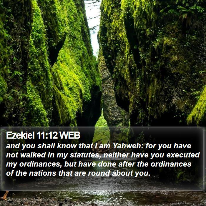 Ezekiel 11:12 WEB Bible Study