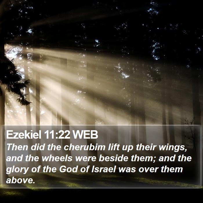 Ezekiel 11:22 WEB Bible Study