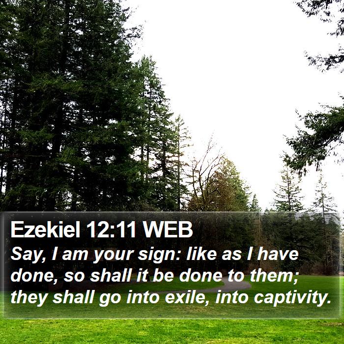 Ezekiel 12:11 WEB Bible Study