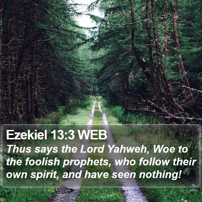 Ezekiel 13:3 WEB Bible Study