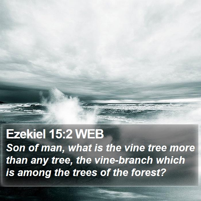 Ezekiel 15:2 WEB Bible Study