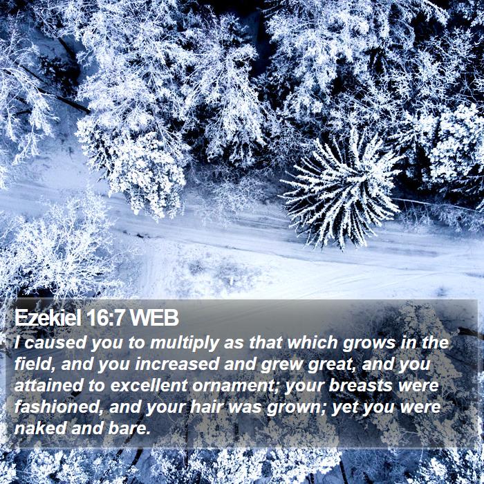 Ezekiel 16:7 WEB Bible Study