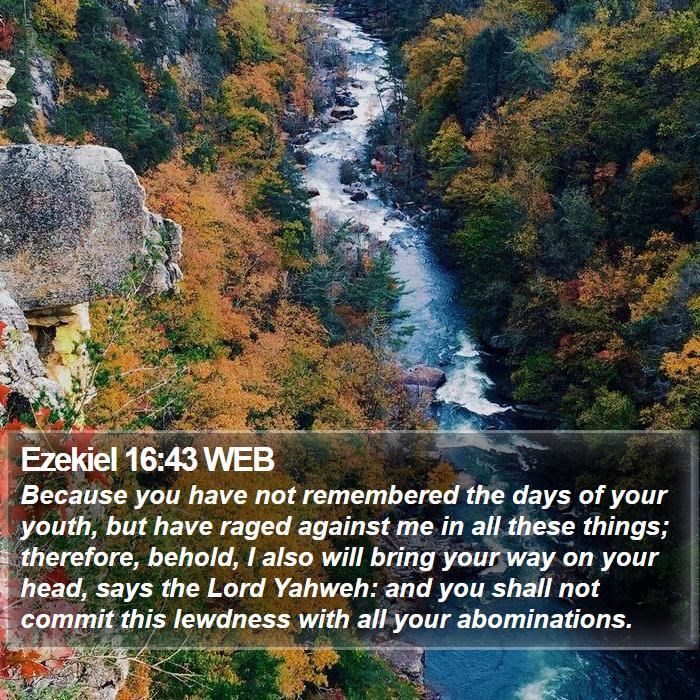 Ezekiel 16:43 WEB Bible Study