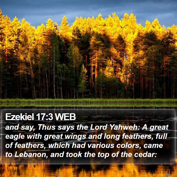 Ezekiel 17:3 WEB Bible Study