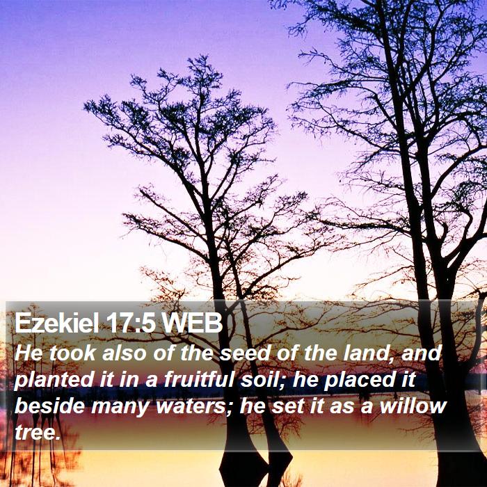 Ezekiel 17:5 WEB Bible Study