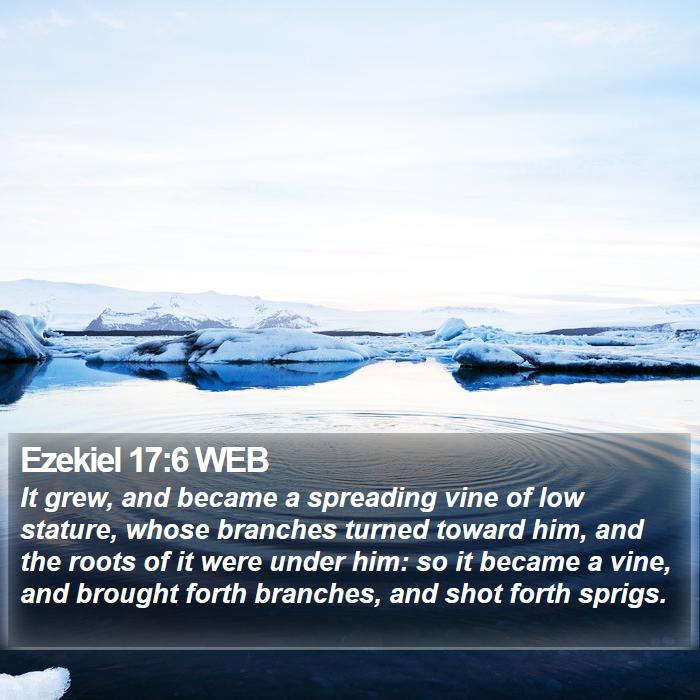 Ezekiel 17:6 WEB Bible Study