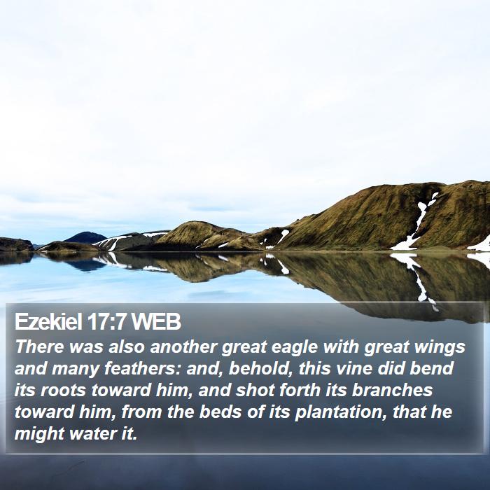 Ezekiel 17:7 WEB Bible Study