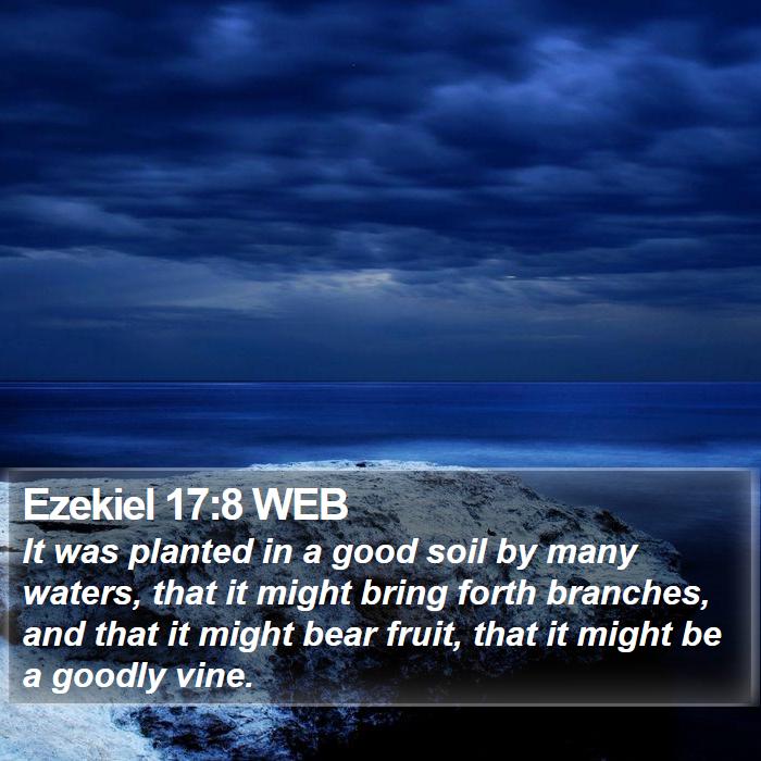 Ezekiel 17:8 WEB Bible Study