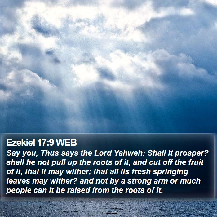 Ezekiel 17:9 WEB Bible Study